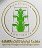 Picture of Apollonia Organization for Heritage and Culture